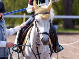 IMG_1583_web